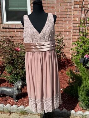 R&M Richards Blush Lace & Satin-Trim Midi Dress